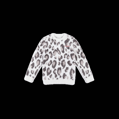 Winter Leopard Sweater